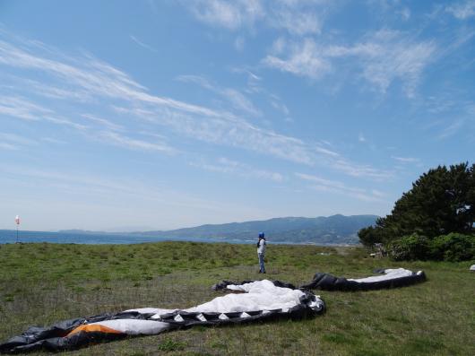 小田原エリアも学校が春休みの間は画像