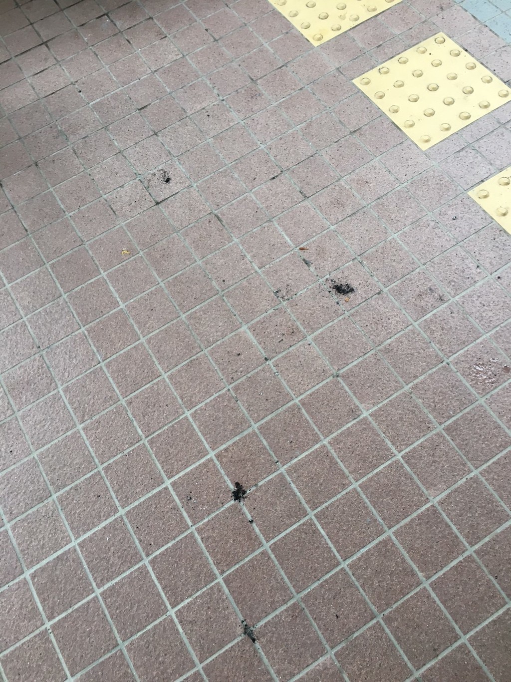 2019.7.21　　　　　　　　トリムフリー大会