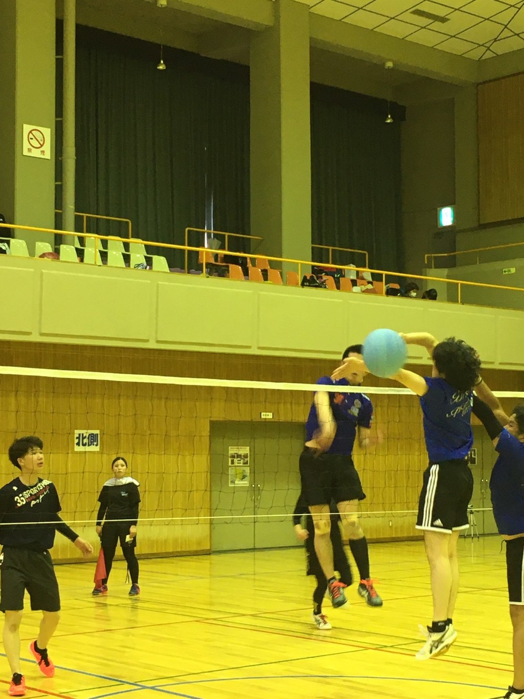 2020.7.26　　　　　　　　　　　　トリムフリー