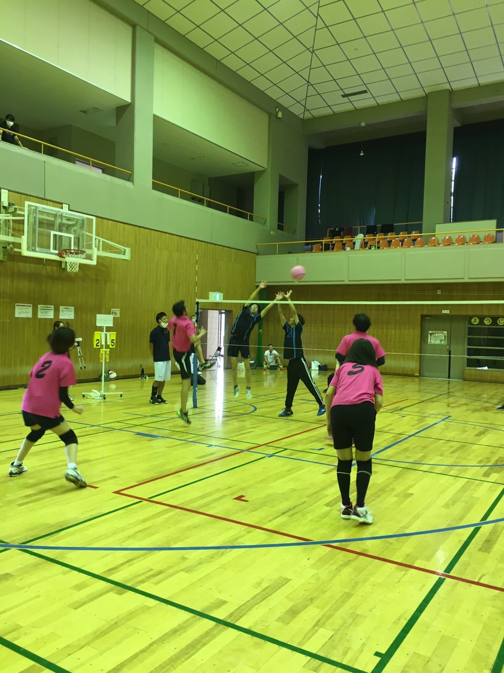 2020.7.26　　　　　　　　　　　　トリムフリー