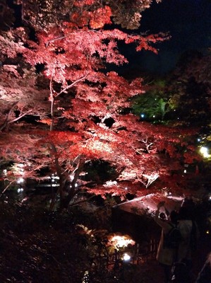 品川区立池田山公園