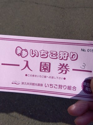 第137回　津久井浜・野比散歩