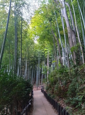 小机城址