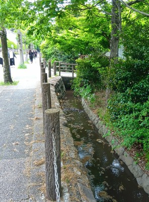 第150回  横浜里山ガーデン・四季の森公園ハイキング