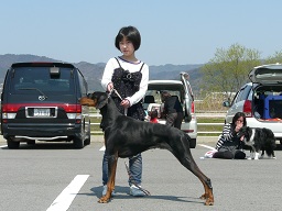 ナユタちゃん