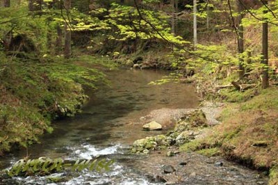 岐阜県　四つの滝
