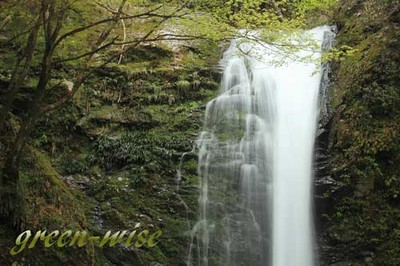 岐阜県　白滝