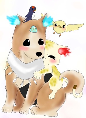 匣アニマル達