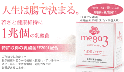 乳酸菌サプリメントはこちらから