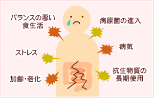 乳酸菌の凄いチカラ！