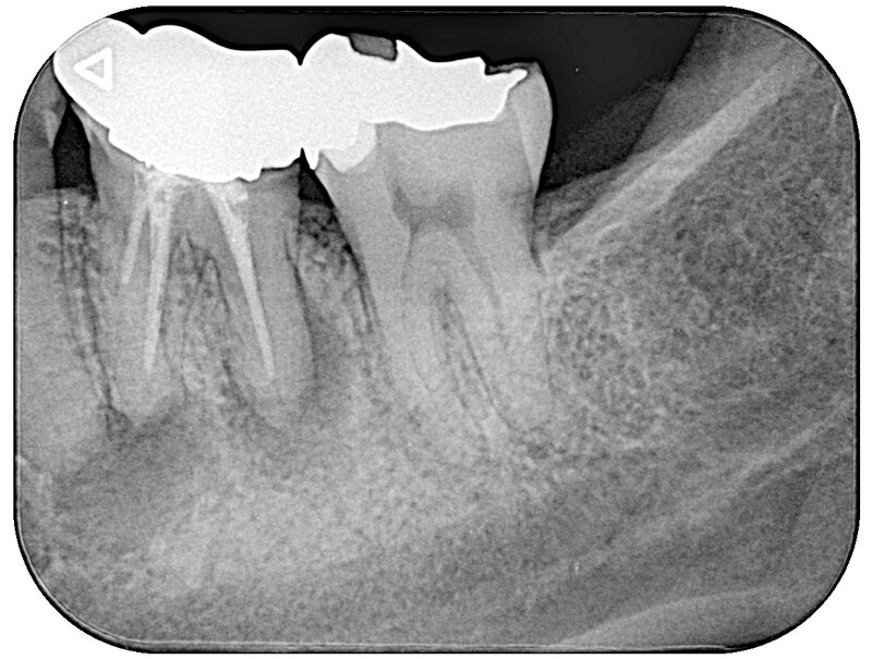 DB63236_250522180307(調整後).jpg