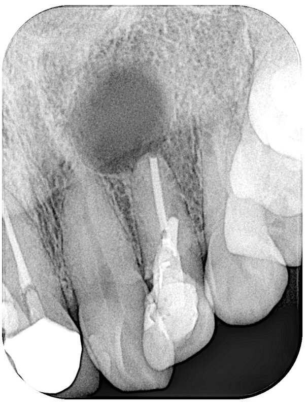 DB41122_250403164639(調整後).jpg