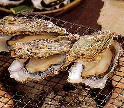 広島かき焼き