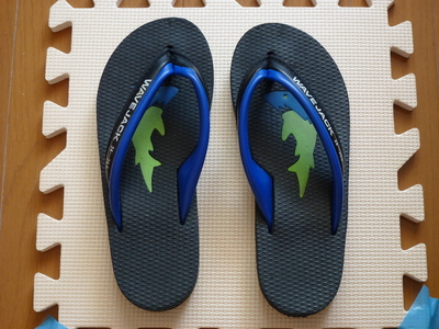 Flip Flops_Blue 00