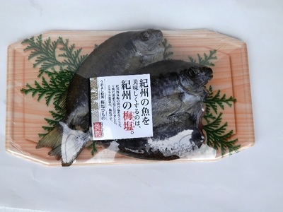 アイゴの開き