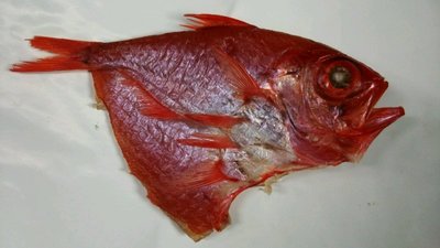 金目鯛の開き