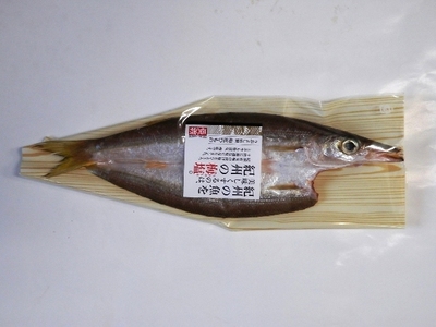 カマス開き　特大