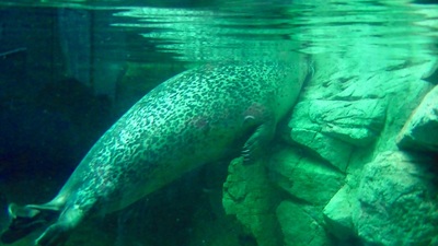 京都水族館