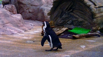京都水族館