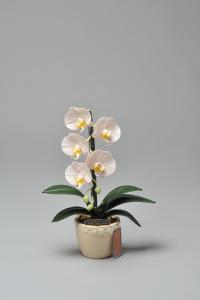 スイーサー　胡蝶蘭 PM-1