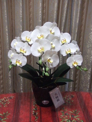 品番 WM-3