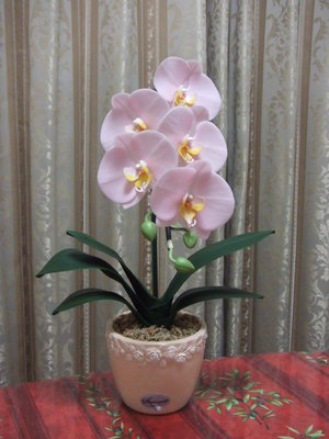品番 PM-1