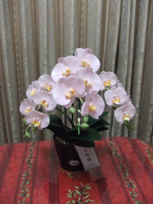 品番 PM-3