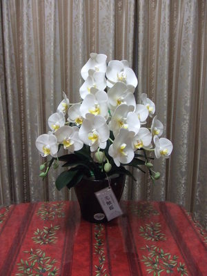 品番 WL-3