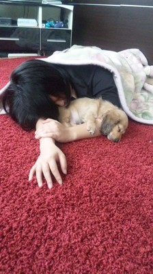 ぴのと昼寝ｗｗ